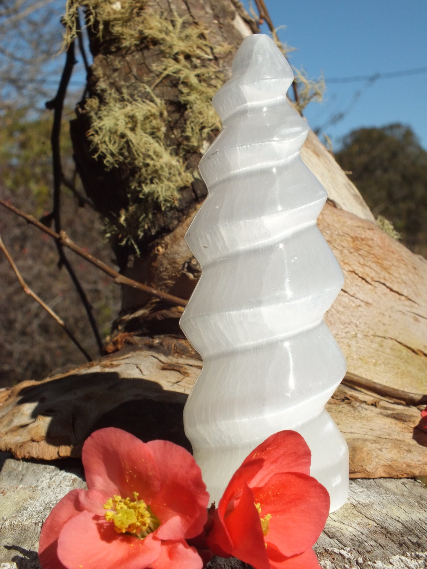 Selenite "Unicorn Horn" Spiral (Medium)