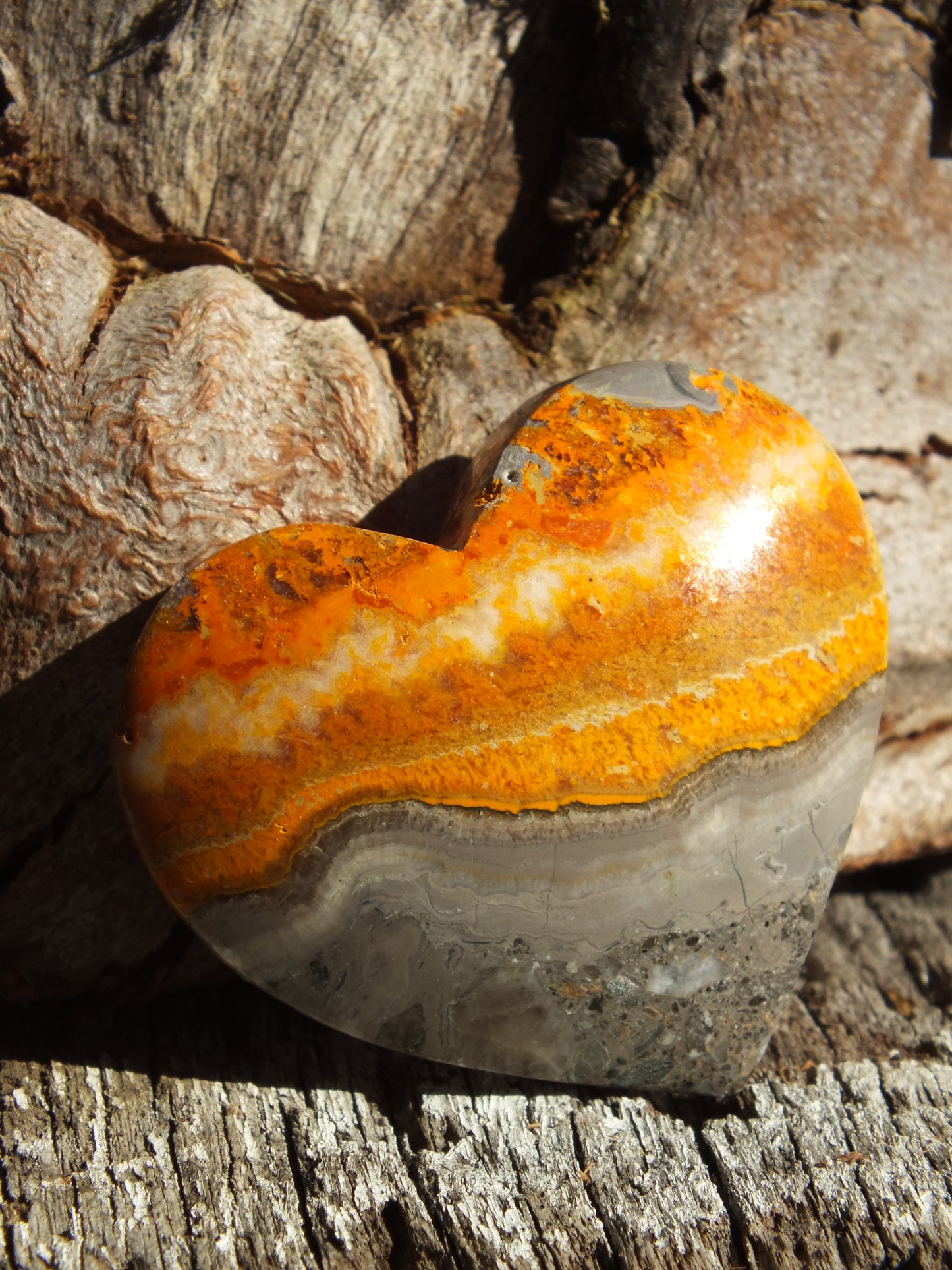 Bumblebee Jasper Heart