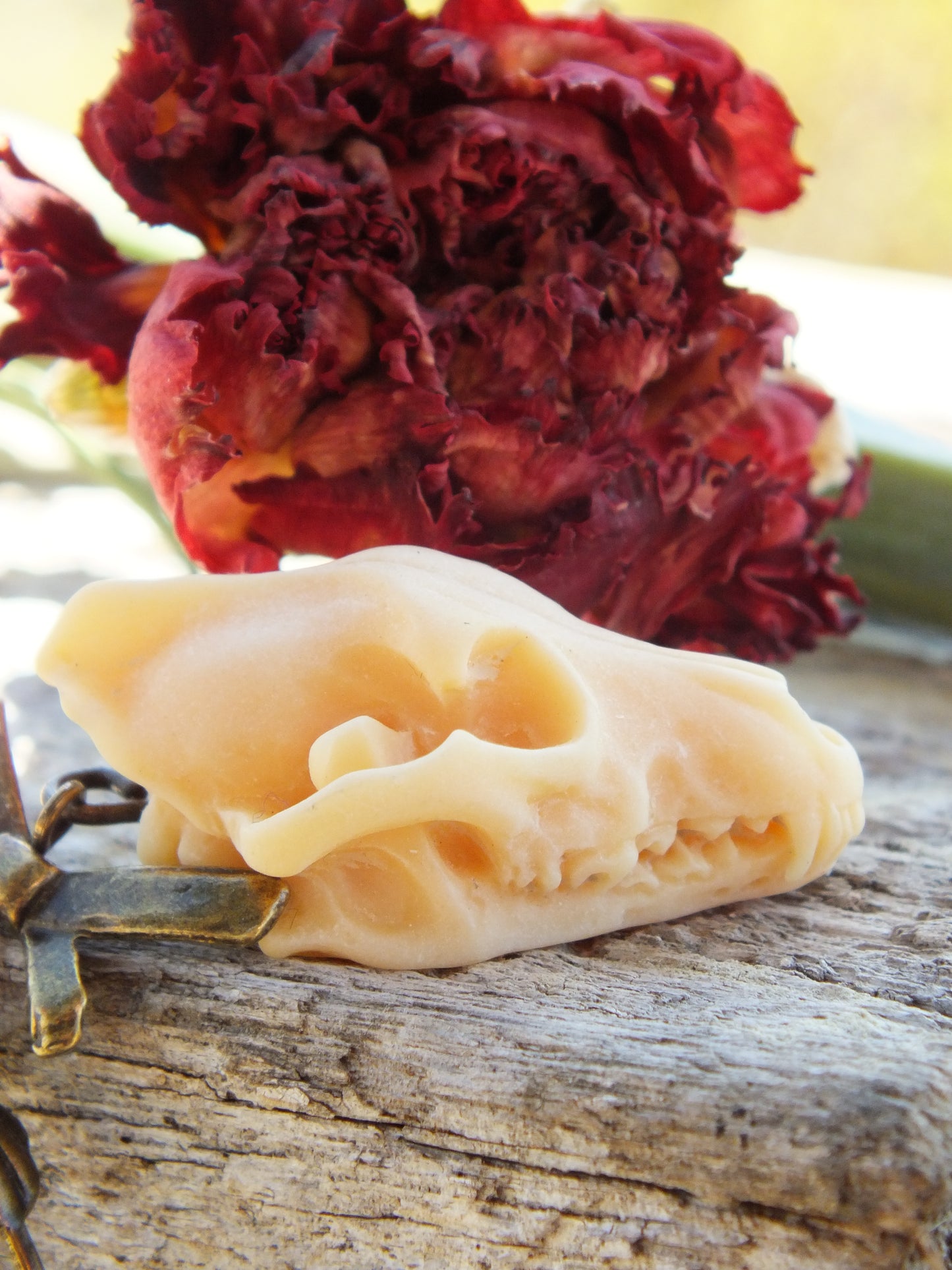 Wolf Skull Earrings