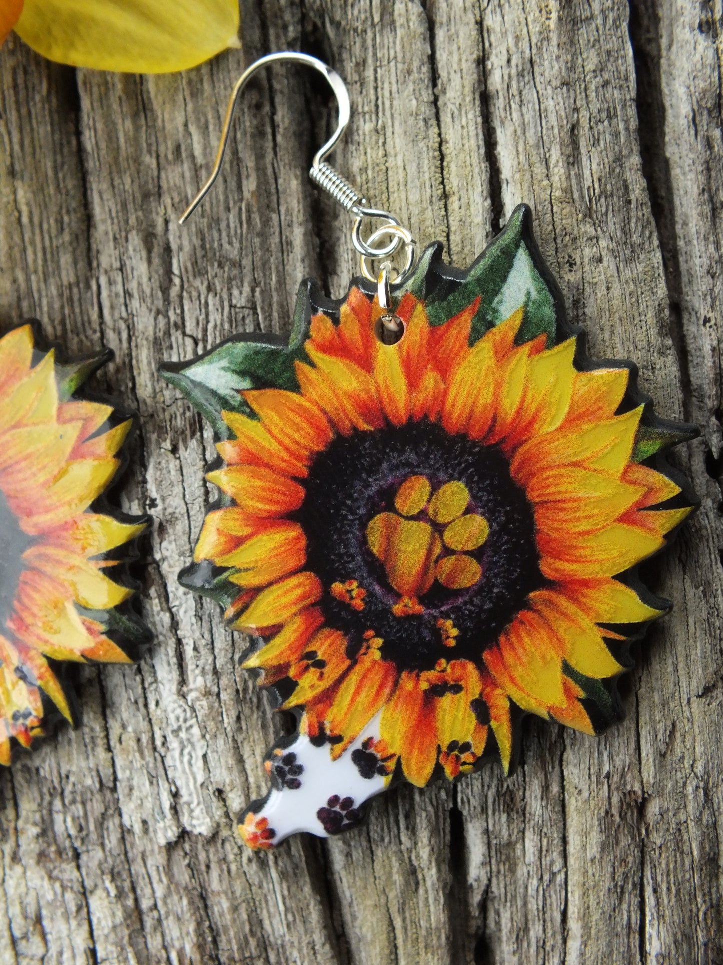 Paws & Sunflowers