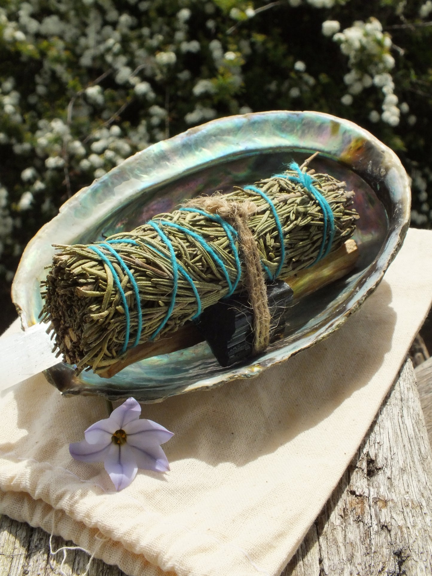 Deluxe Rosemary Protection Kit