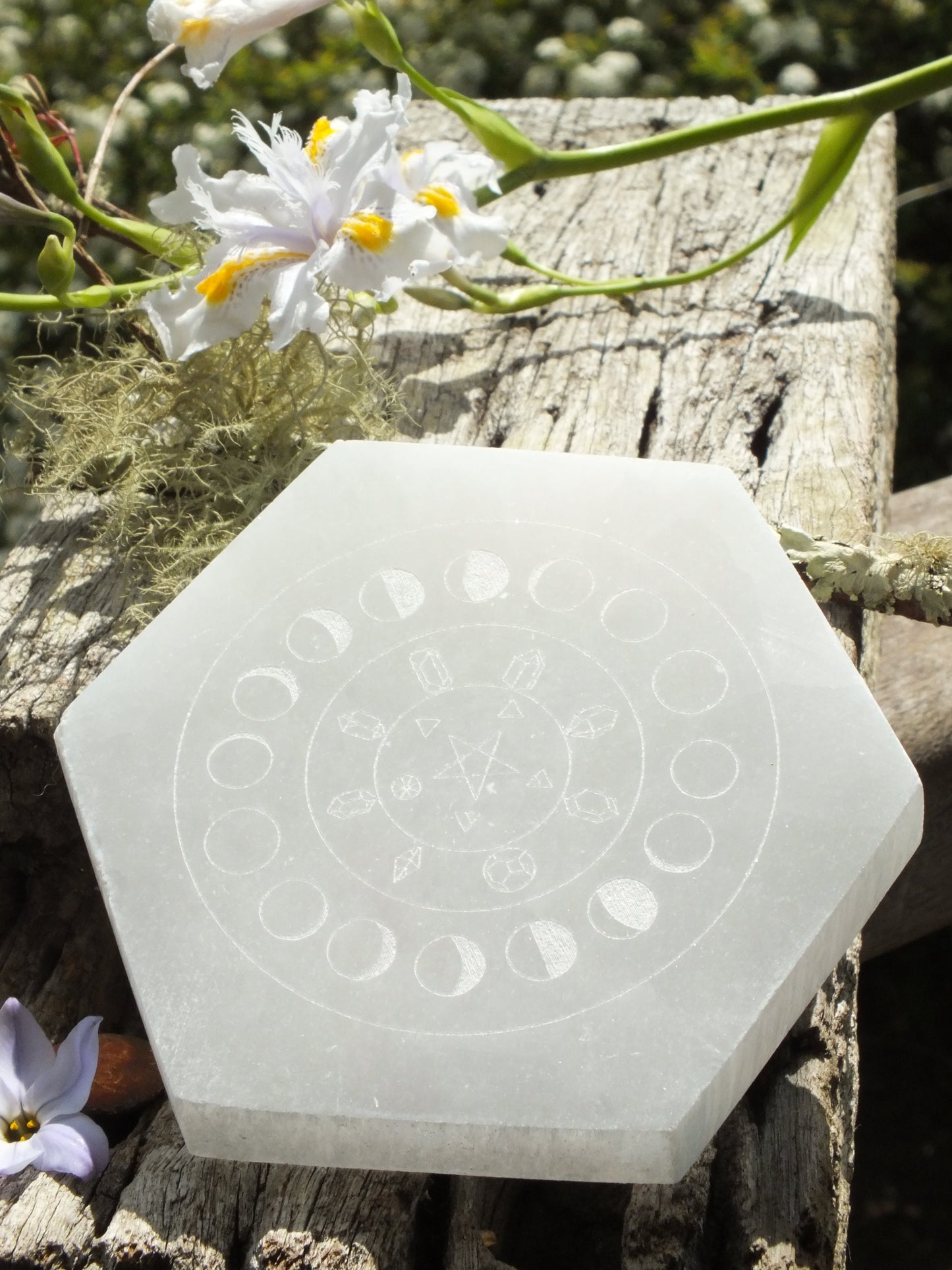 Selenite Moon Phase Hexagon Charging Plate