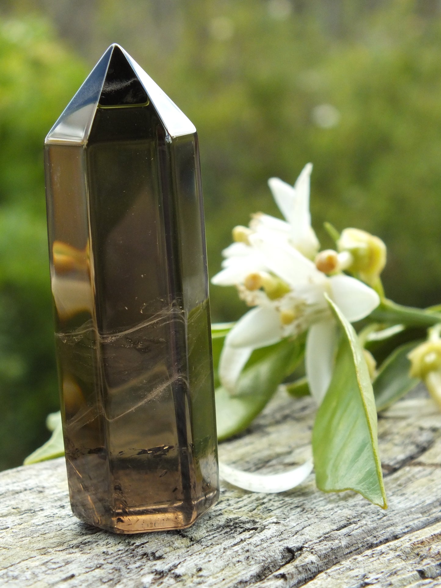 Smoky Quartz Gift Pack