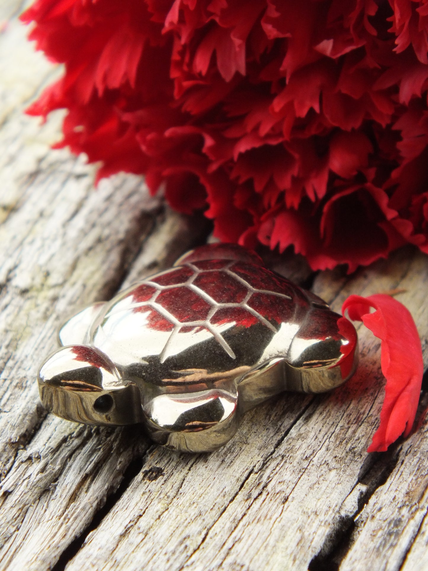 Pyrite Turtle