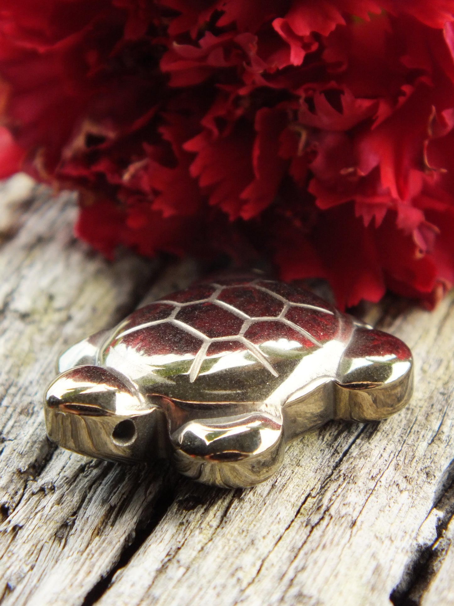 Pyrite Turtle