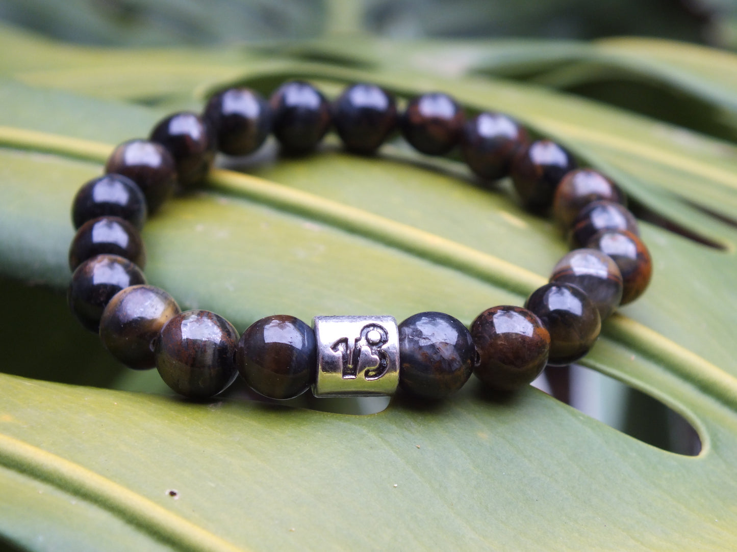 Tiger's Eye Capricorn Bracelet