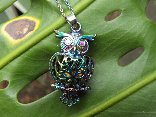 Rainbow Owl Locket Necklace