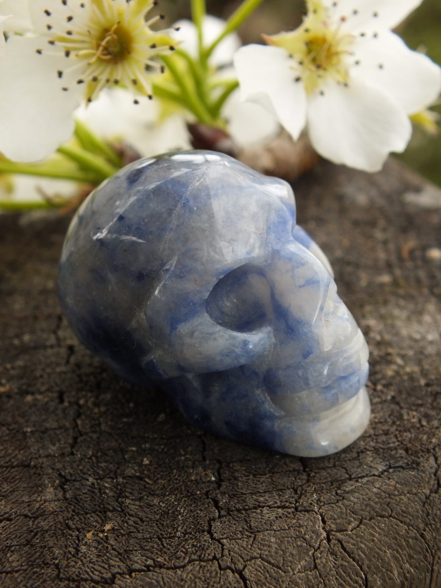 Sodalite Crystal Skull