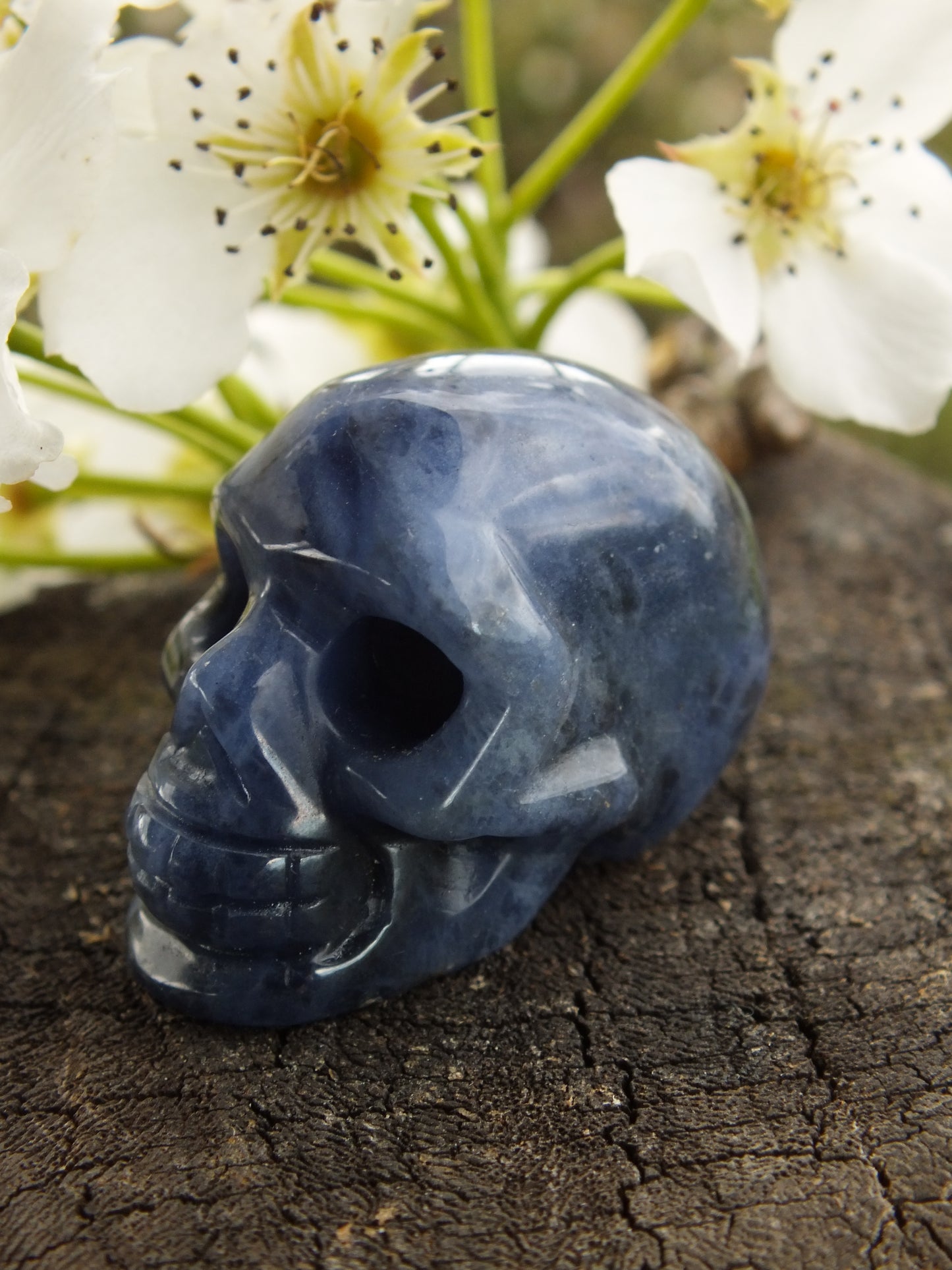Sodalite Crystal Skull
