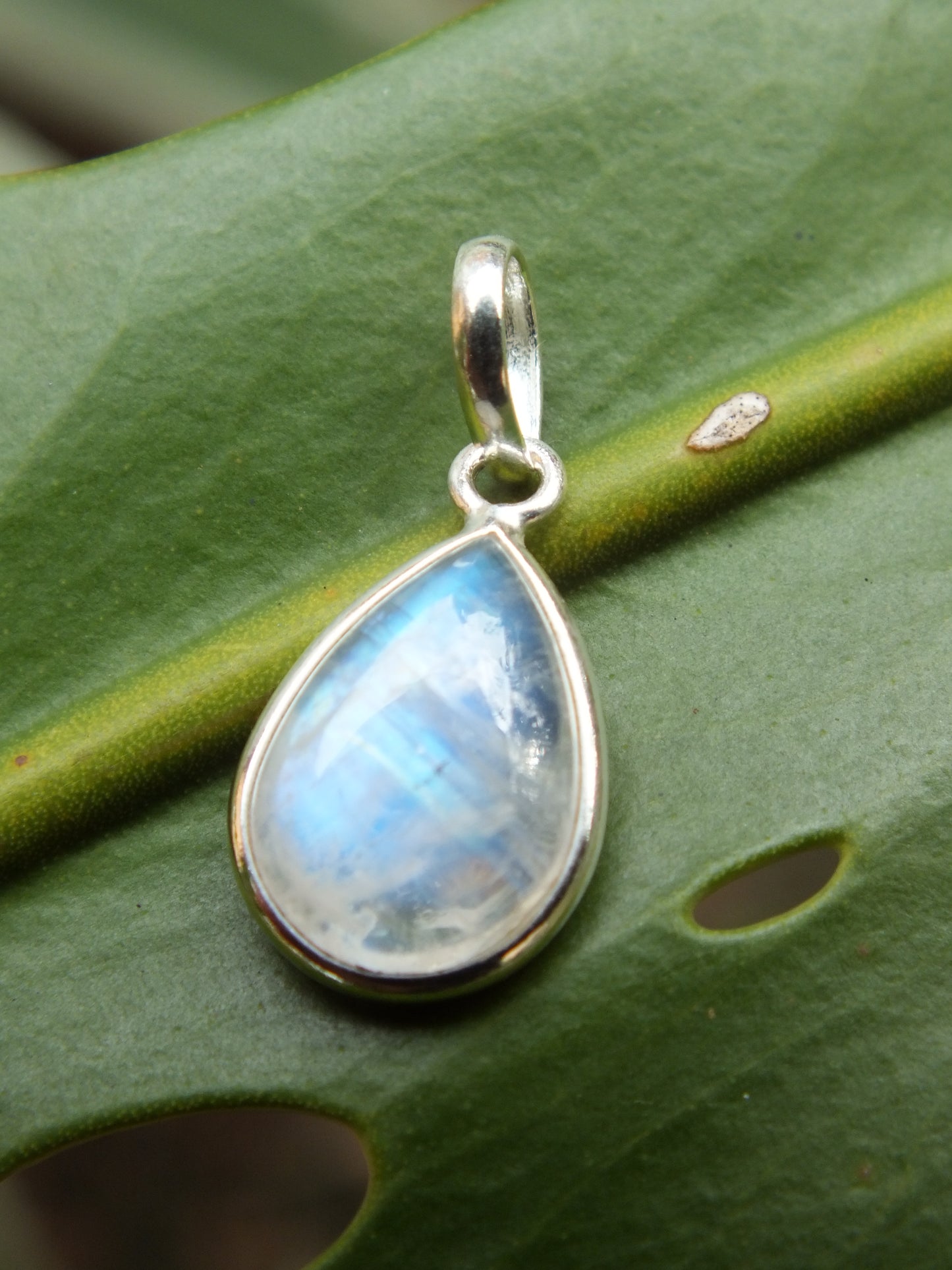Sterling Silver Rainbow Moonstone Pendant