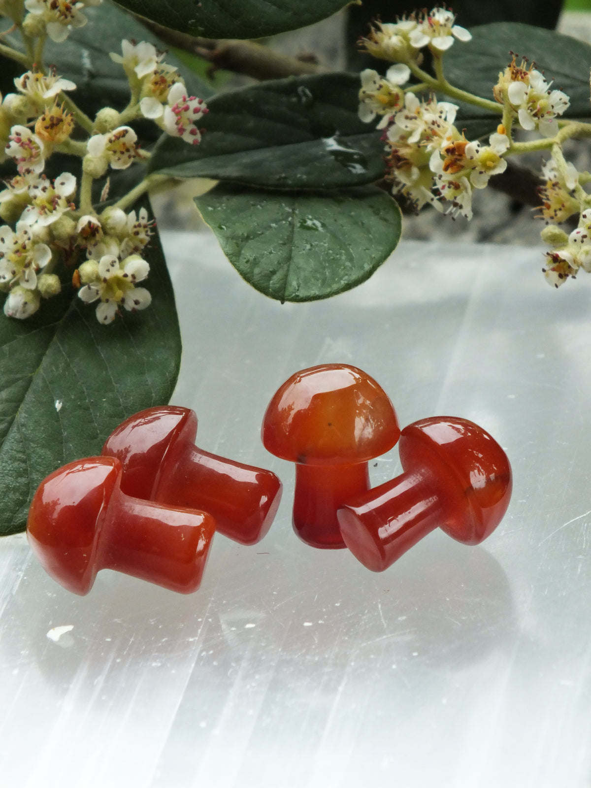 Carnelian Mini Mushroom
