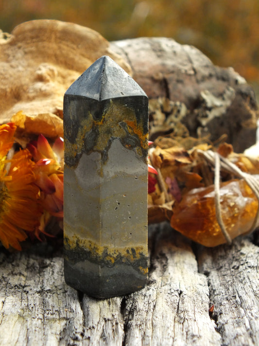 Bumblebee Jasper Mini Point