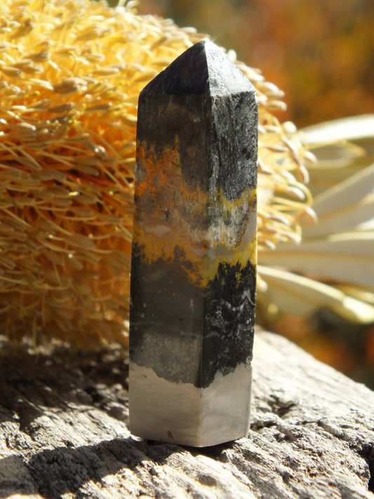 Bumblebee Jasper Mini Point