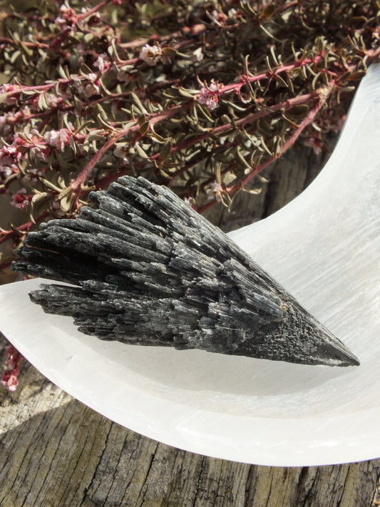 Black Kyanite Fan