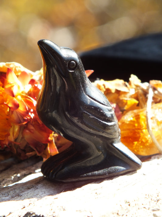Black Obsidian Raven