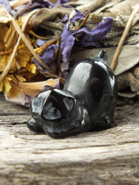 Obsidian Manx