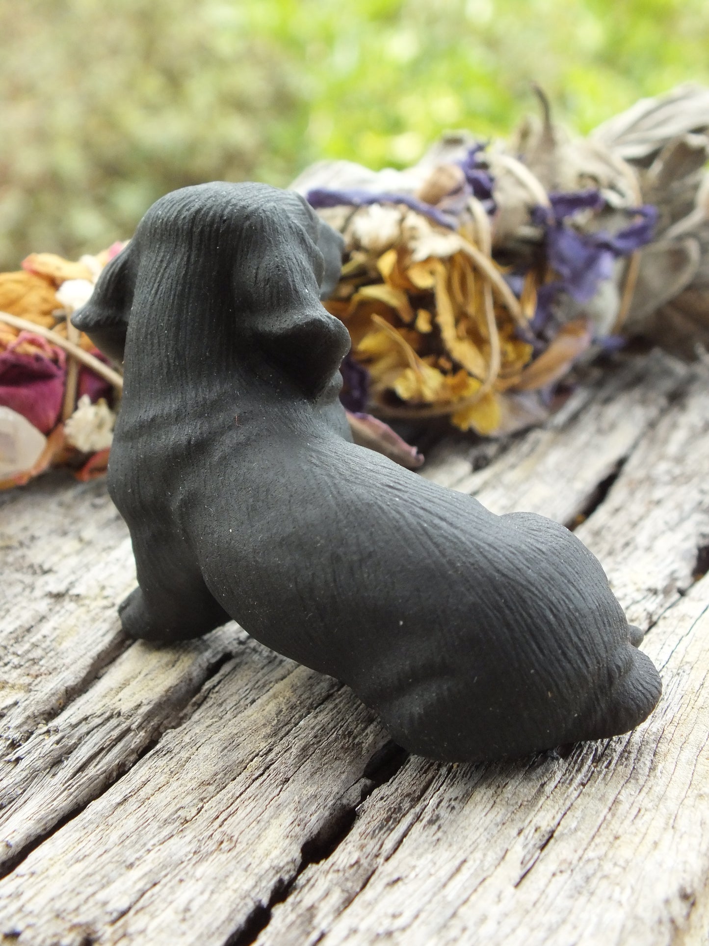 Obsidian Dachshund