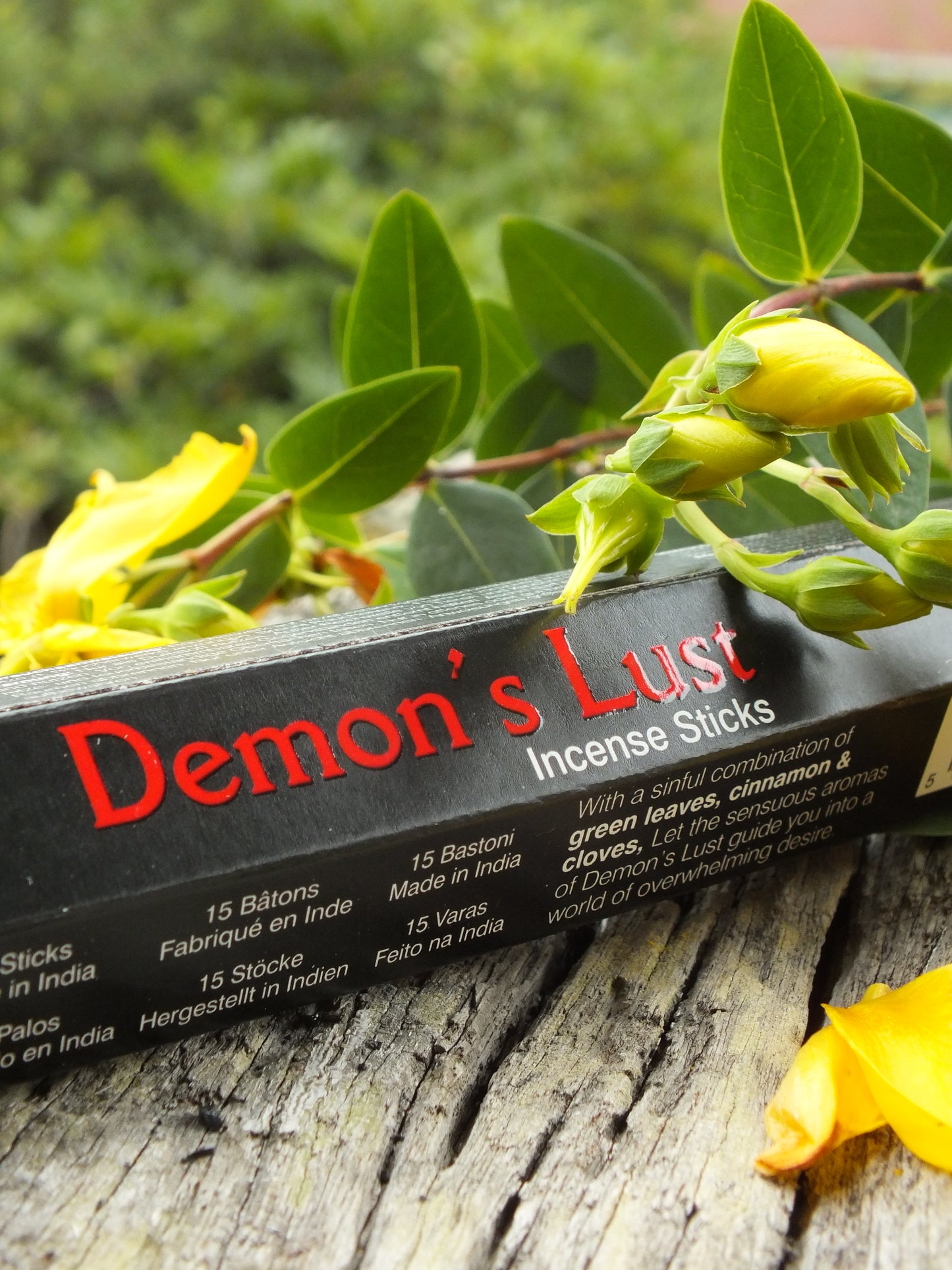 Stamford Inc. - Demon's Lust