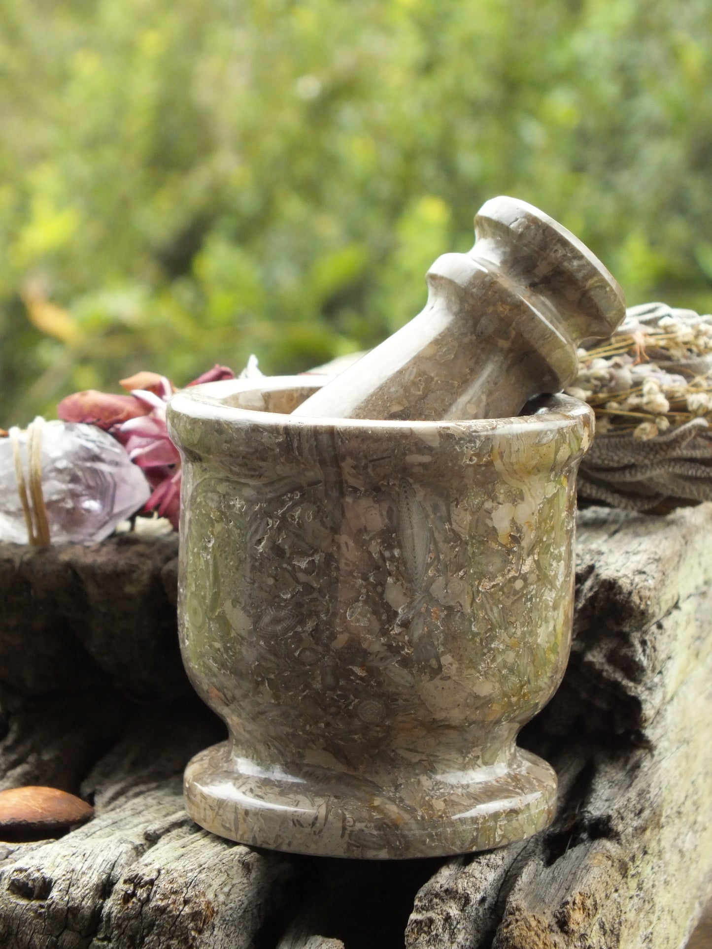 Oceanic Fossil Miniature Mortar & Pestle