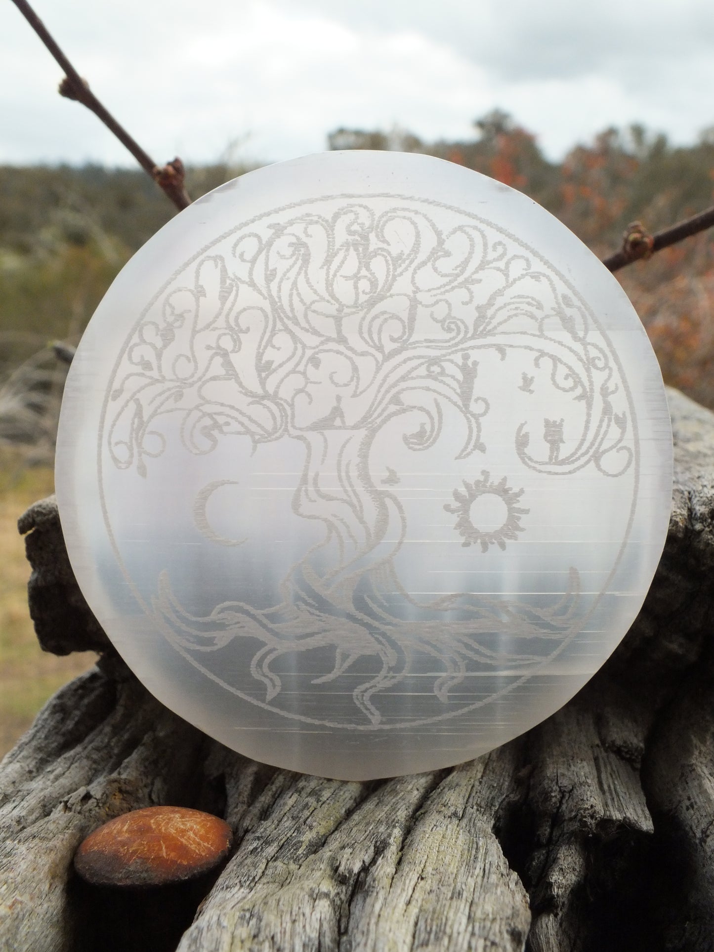 Selenite - Tree Of Life Charging Plate