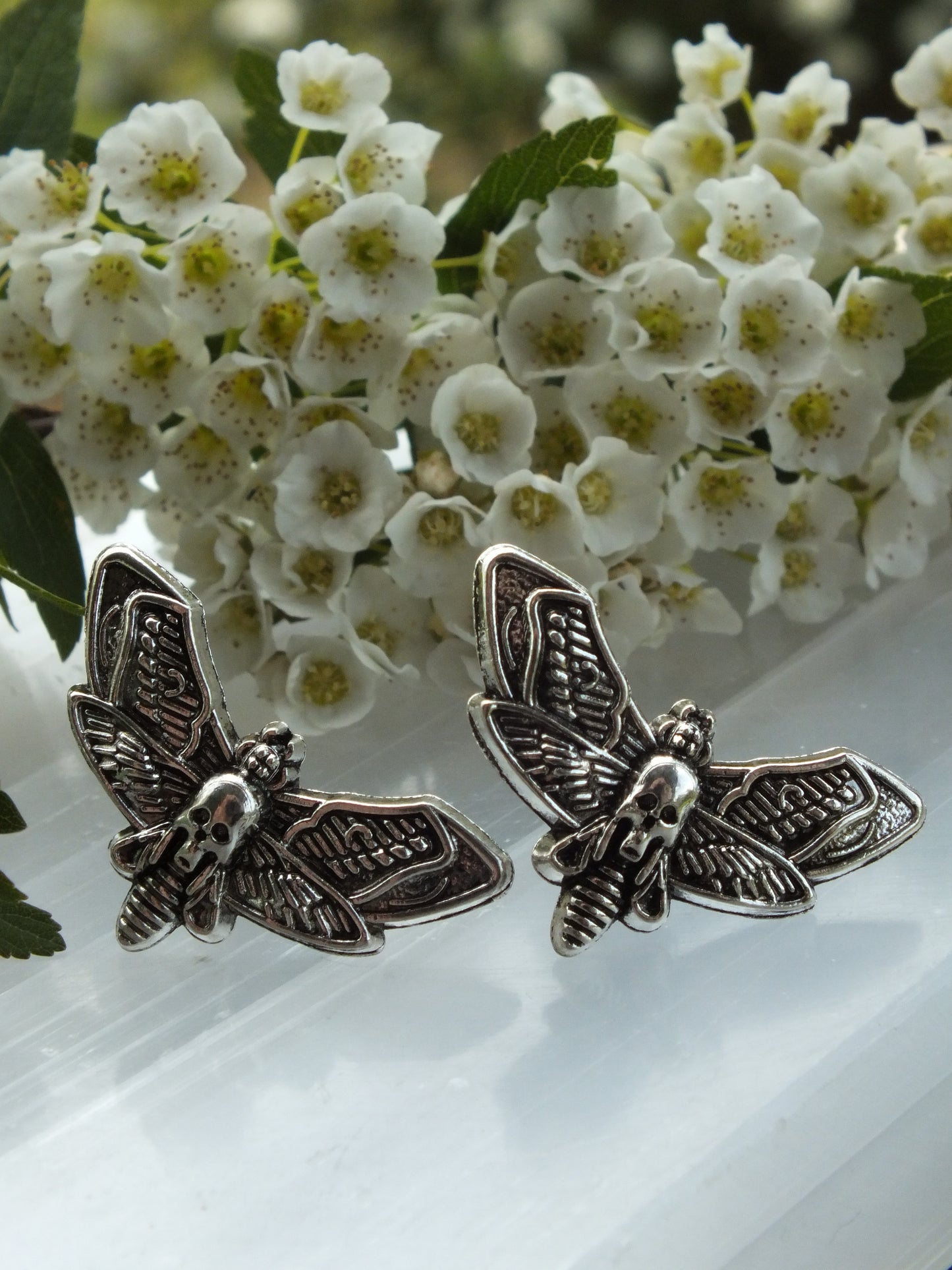 Death's Head Hawk Moth Stud Earrings