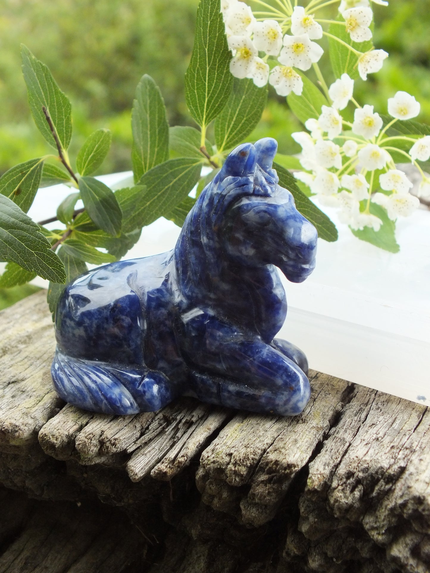 Sodalite Horse Carving