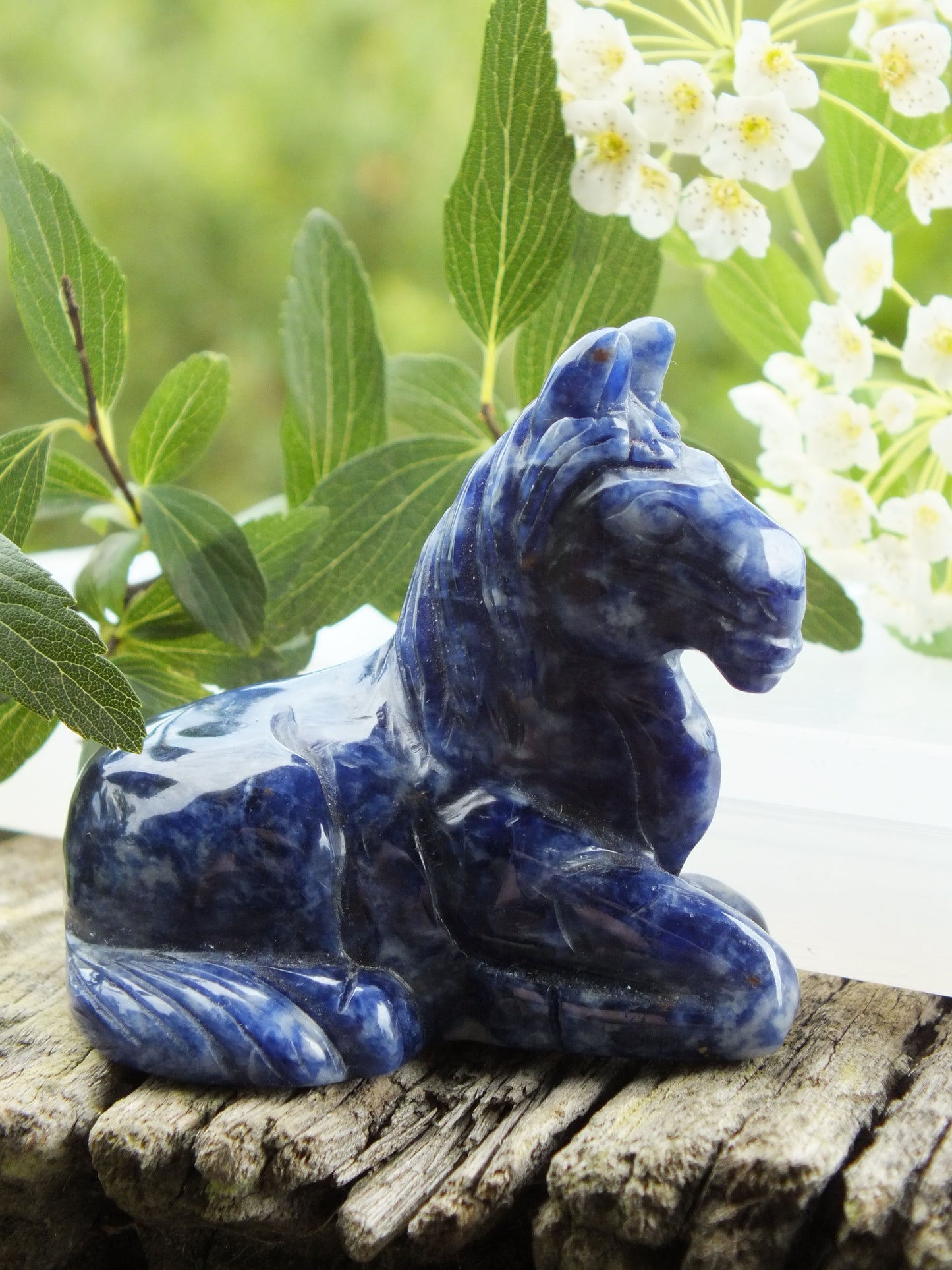 Sodalite Horse Carving