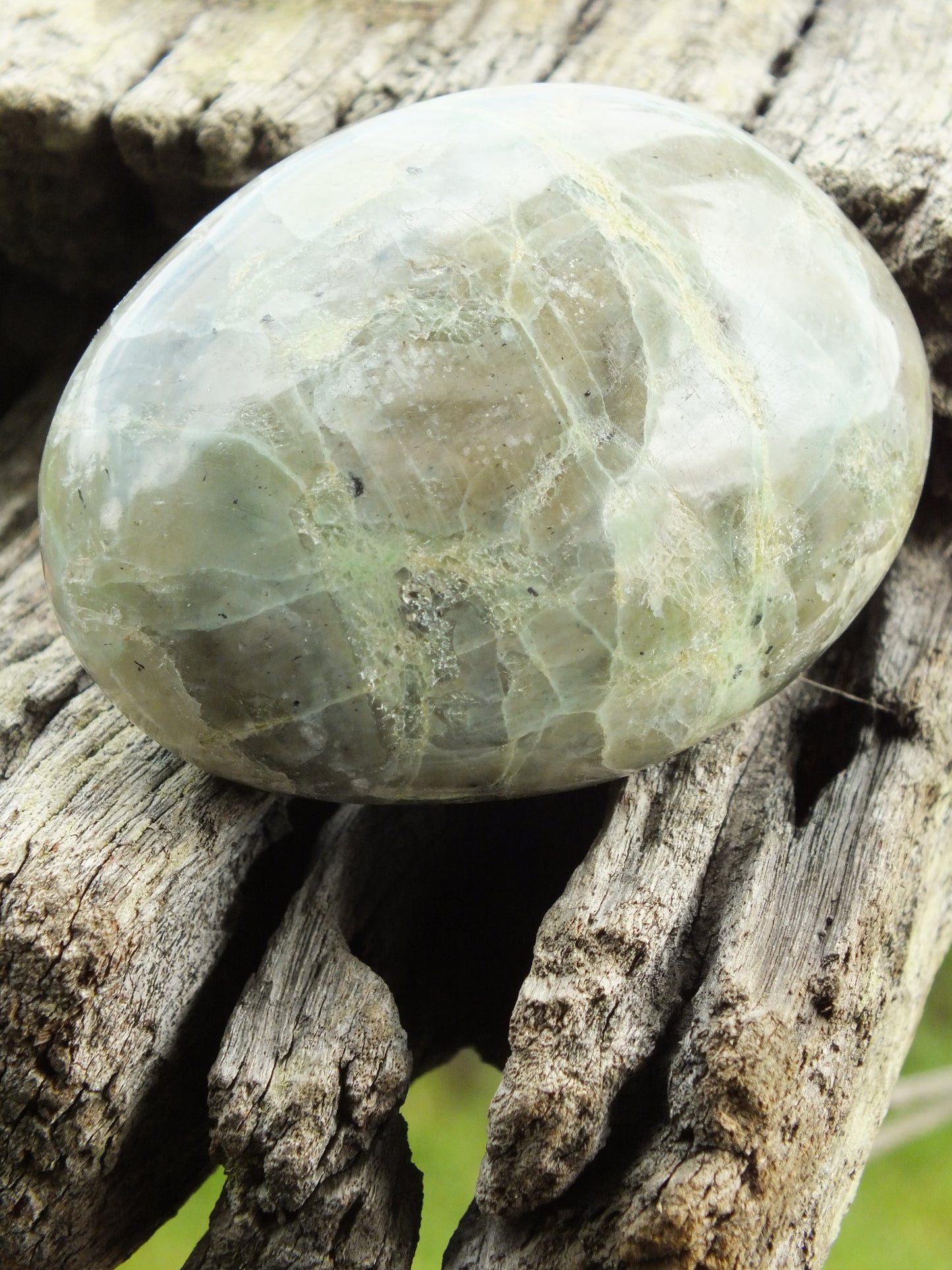 Green Moonstone (Garnierite) Palm Stone