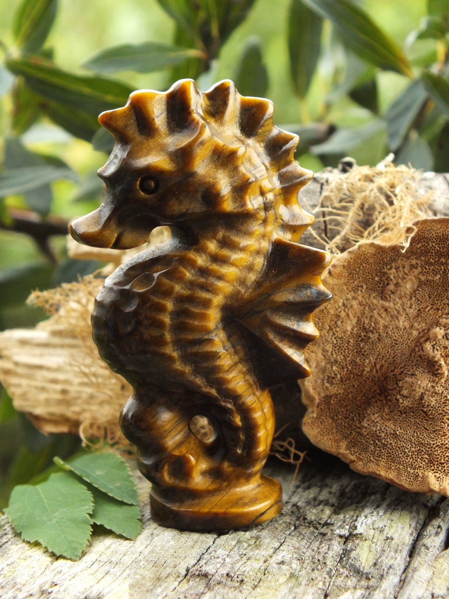 Gold Tiger's Eye Seahorse Carving