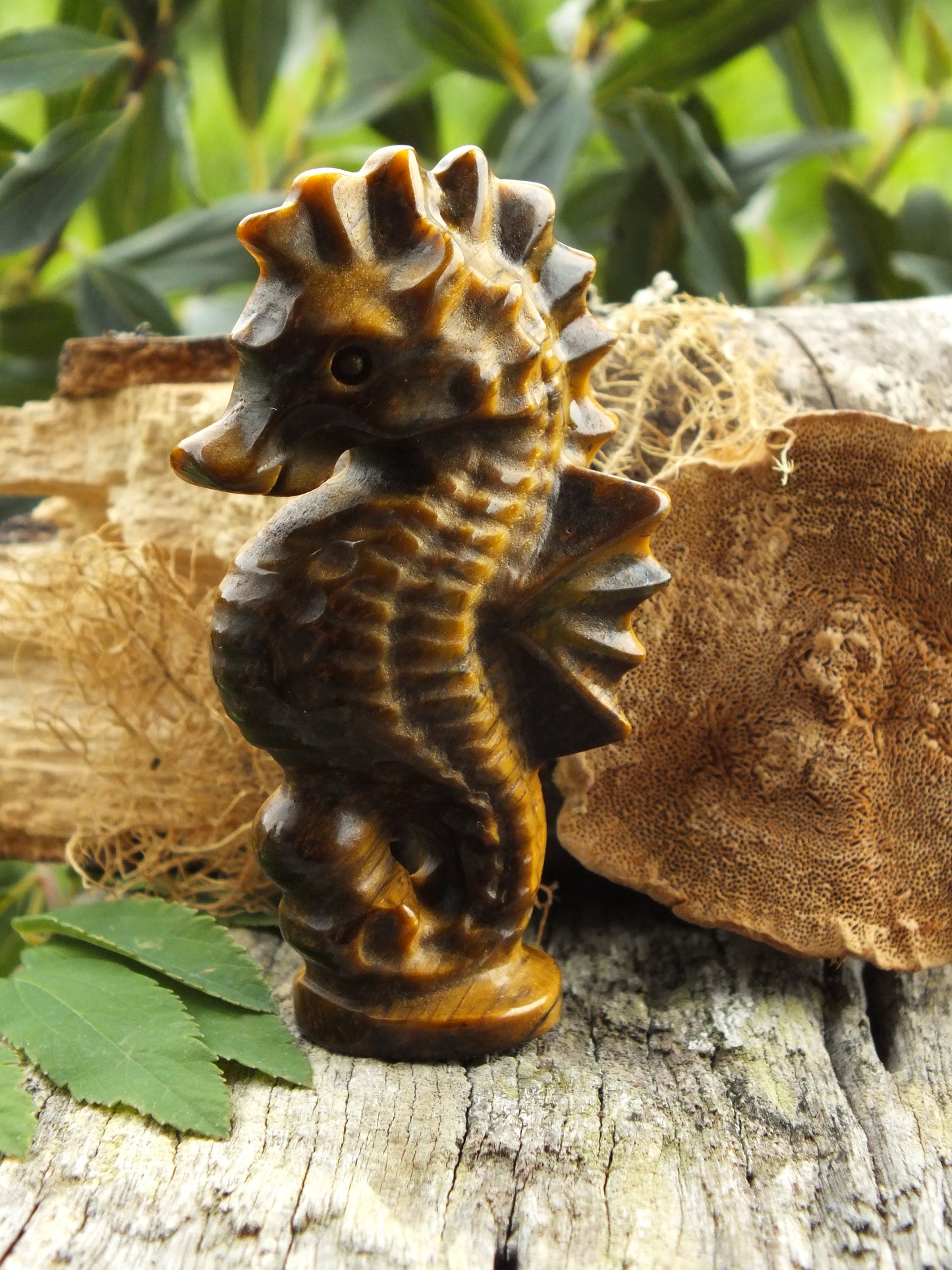 Gold Tiger's Eye Seahorse Carving