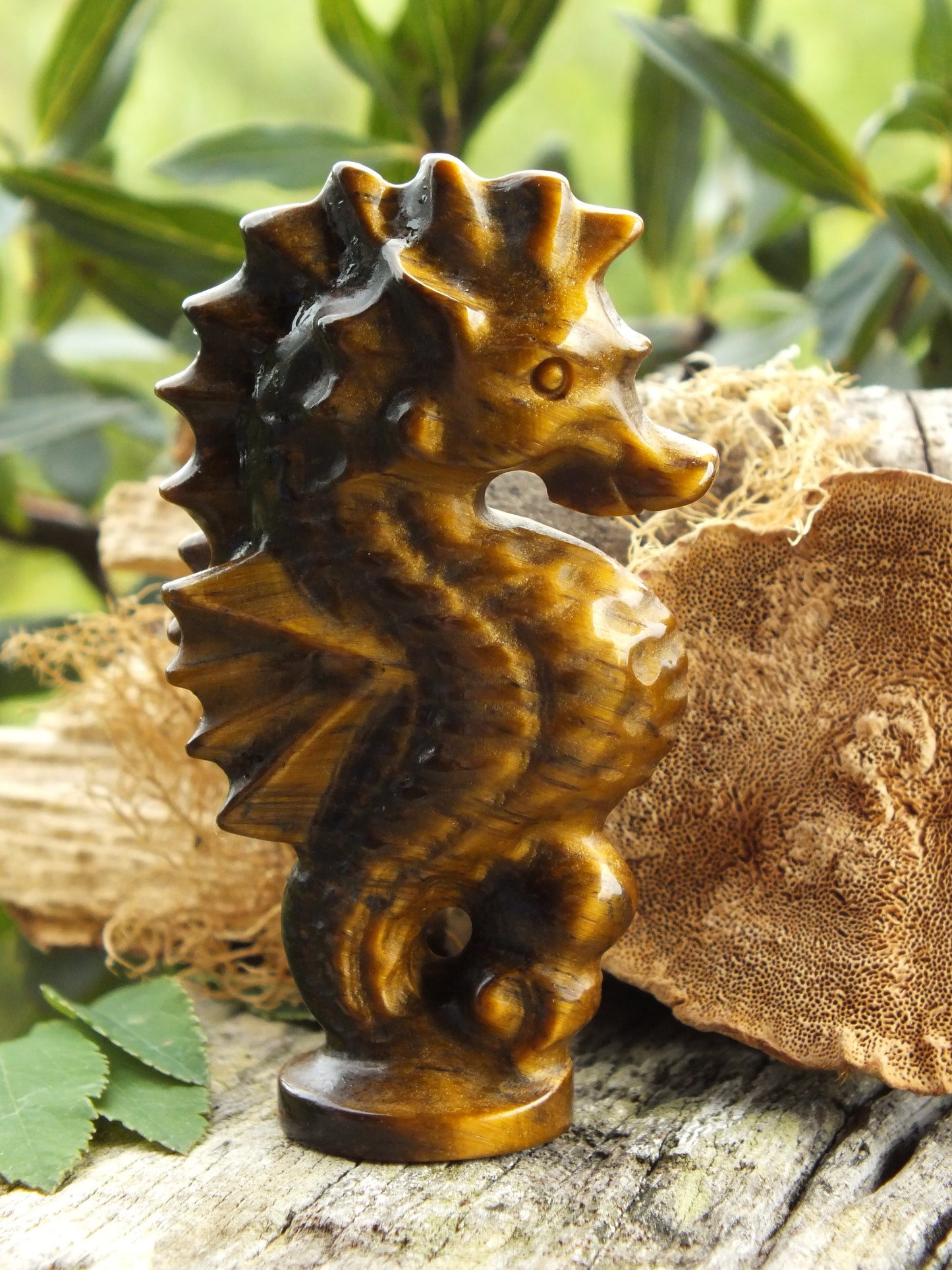 Gold Tiger's Eye Seahorse Carving