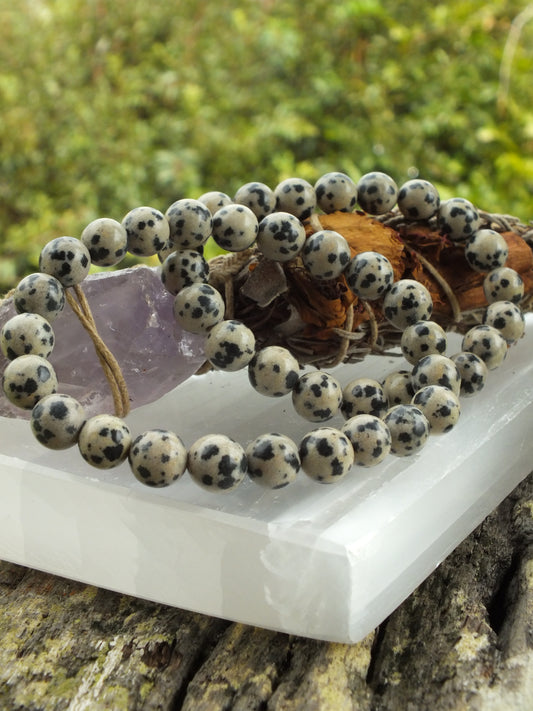 Dalmatian Jasper Bracelet