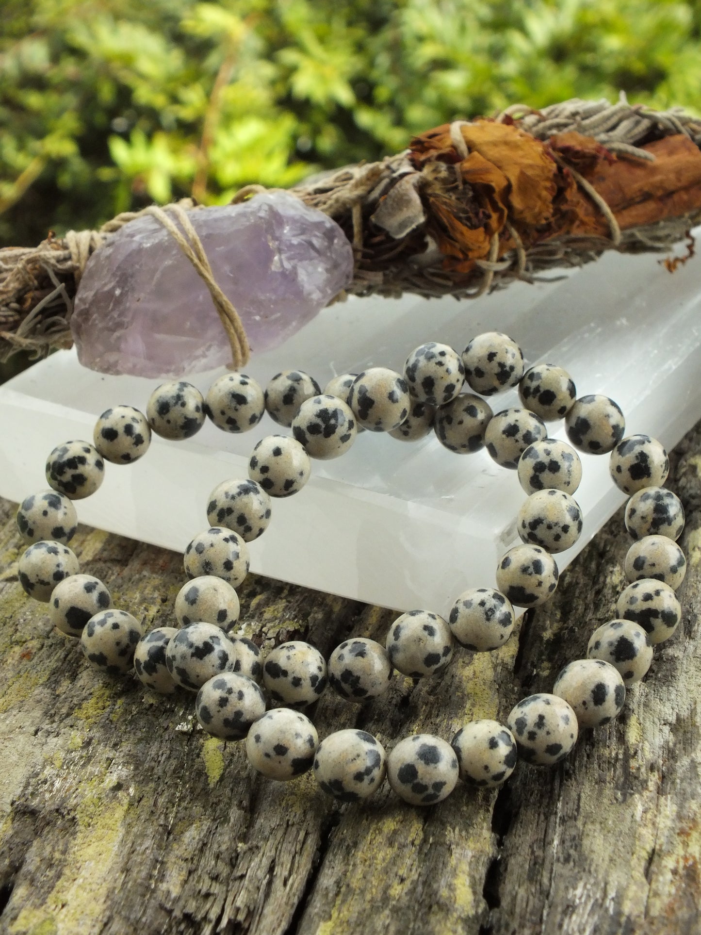 Dalmatian Jasper Bracelet