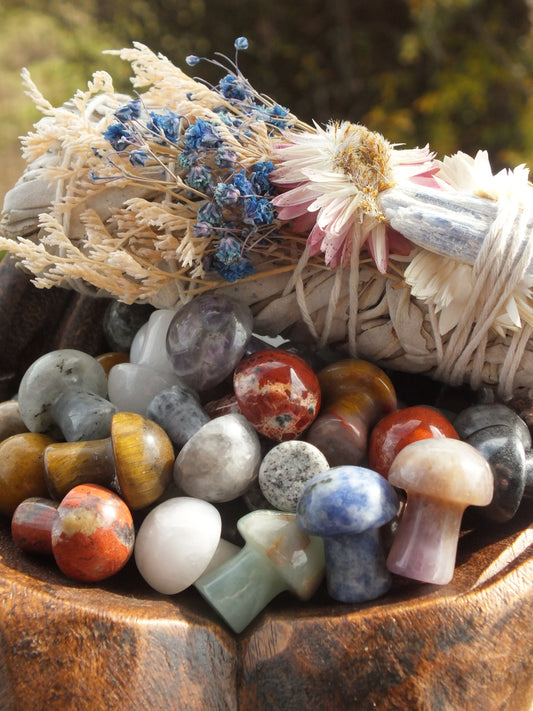 Assorted Crystal Mini Mushrooms