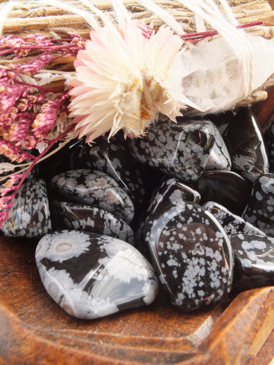 Snowflake Obsidian Tumble Stone