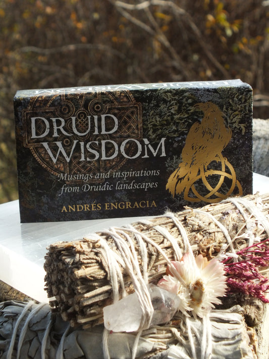 Druid Wisdom