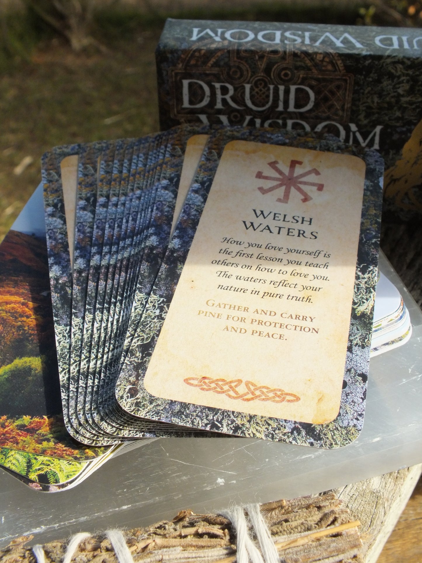 Druid Wisdom