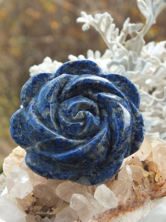 Lapis Lazuli Rose