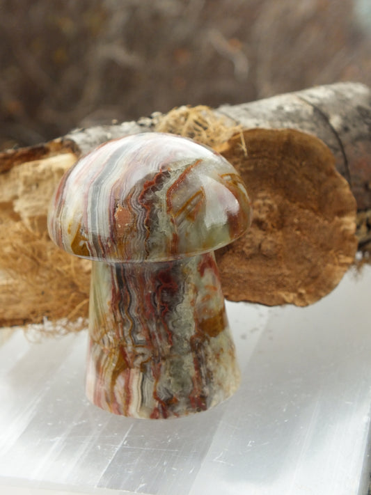 Green Onyx Mushroom