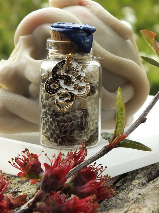 The Serpent Talisman