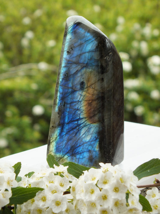 Labradorite Free Form