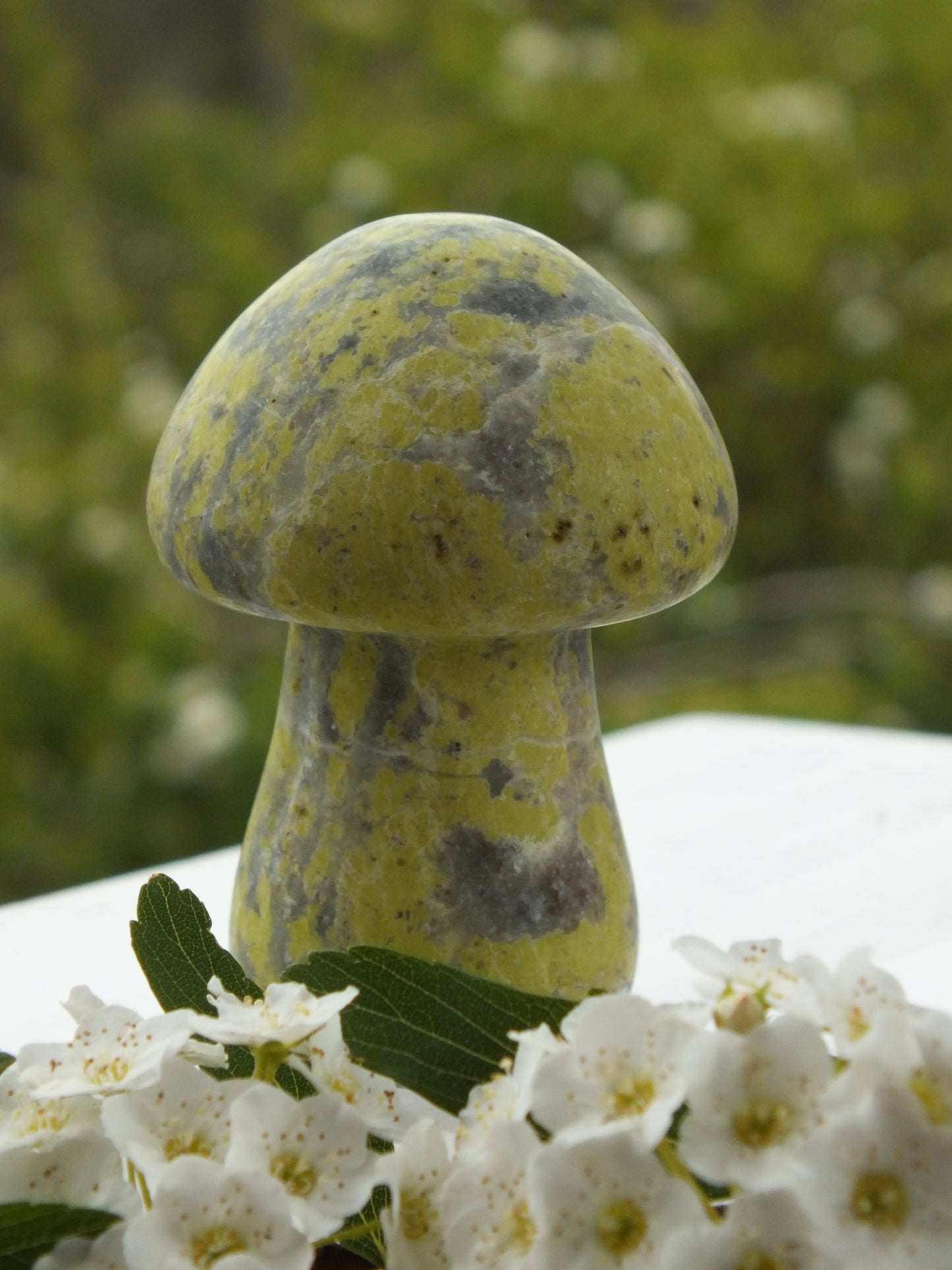 Serpentine Mushroom