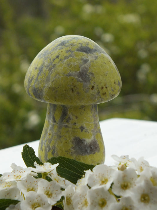 Serpentine Mushroom