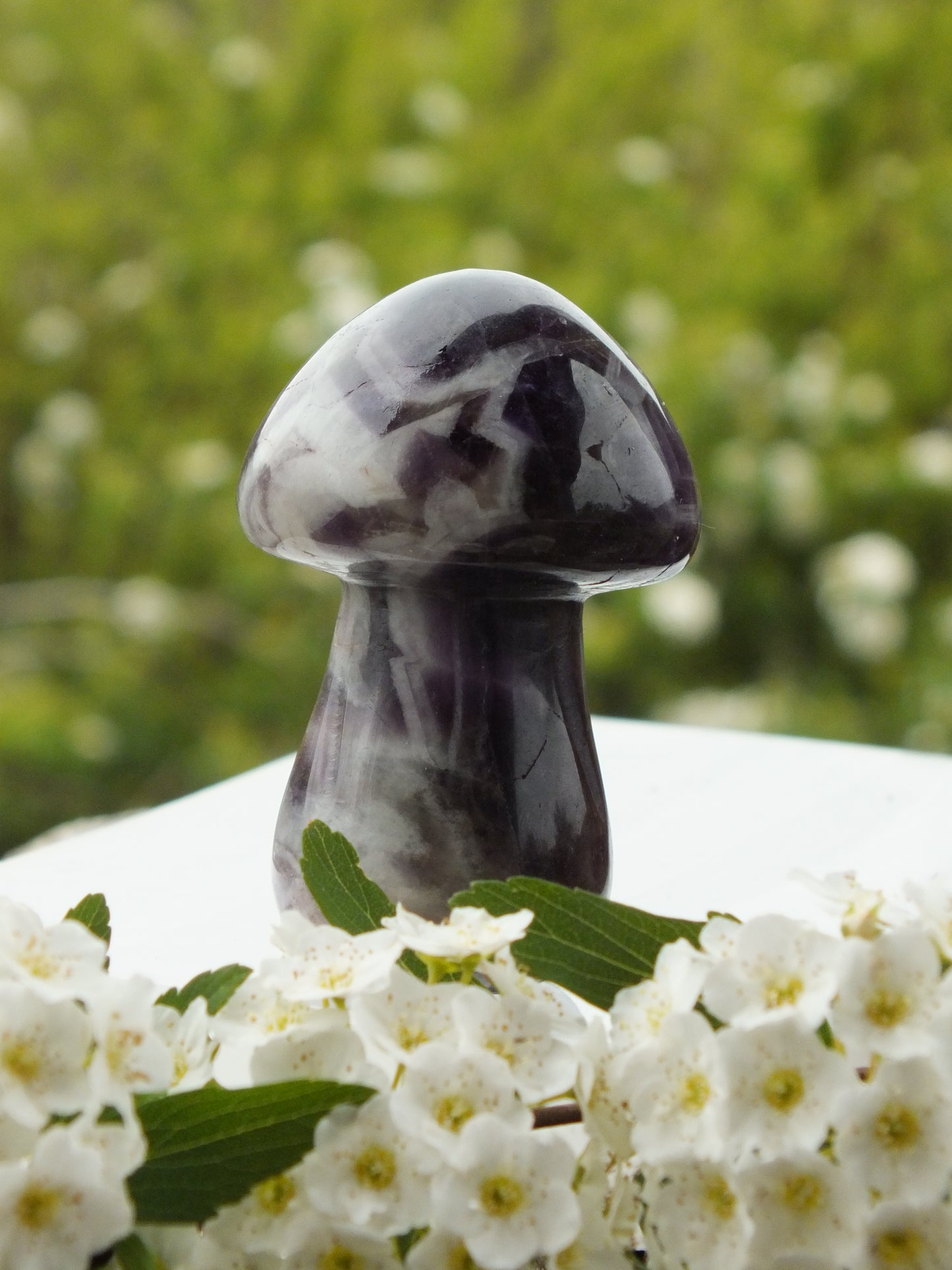 Chevron Amethyst Mushroom