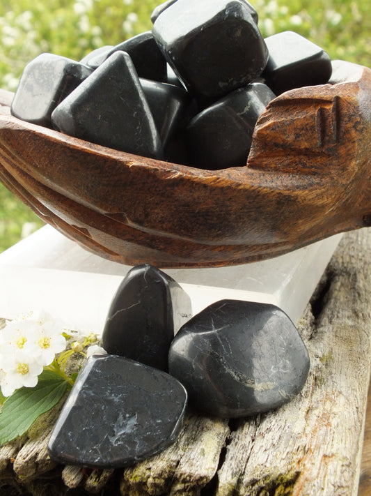 Shungite Tumble Stone