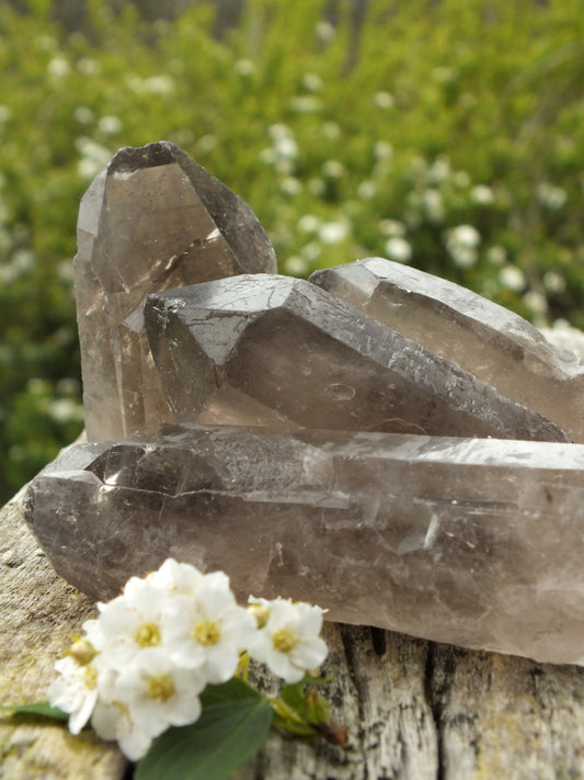 Natural Smoky Quartz Point