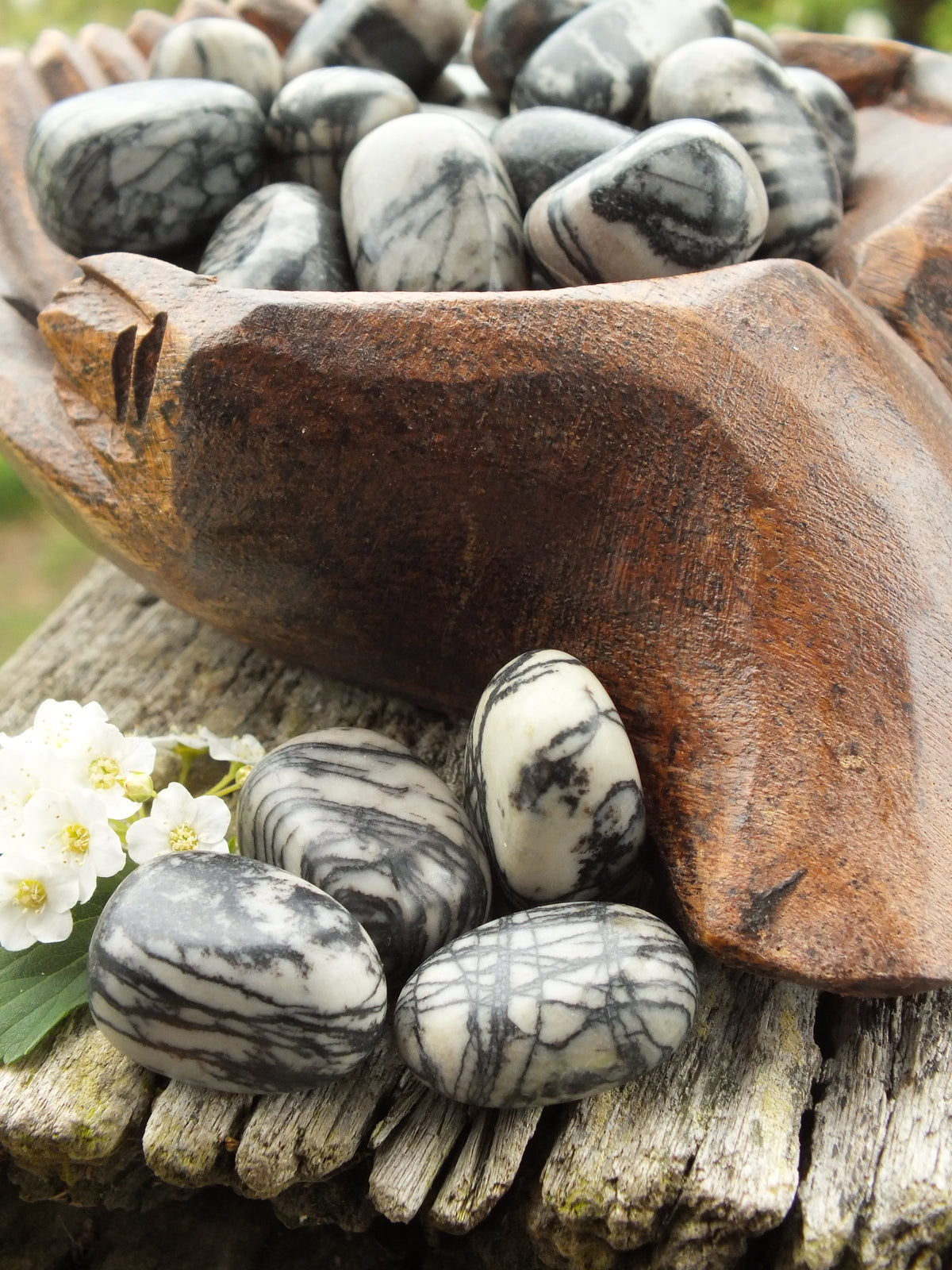 Black Net Jasper Tumble Stone