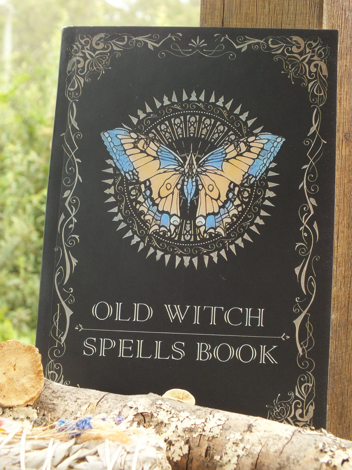 Old Witch Spells Book