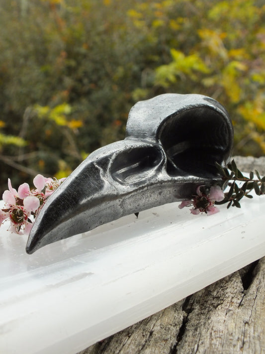 Shungite Raven Skull