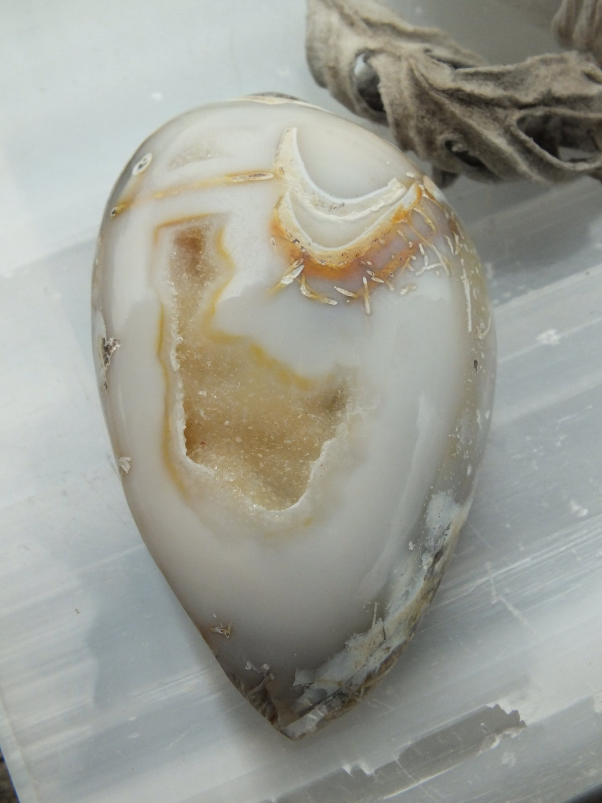 Agatized shell